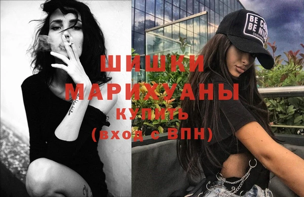 тгк Горнозаводск