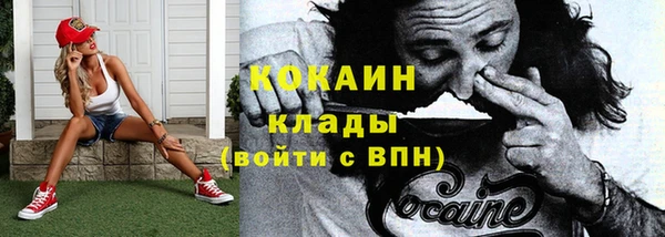 прущие крисы Горняк