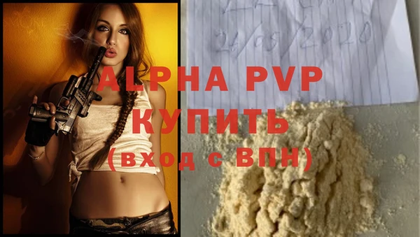 прущие крисы Горняк