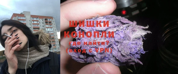 PSILOCYBIN Горно-Алтайск