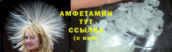 PSILOCYBIN Горно-Алтайск