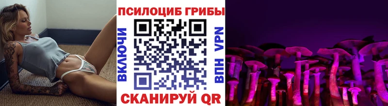 mega сайт  Чегем  Псилоцибиновые грибы прущие грибы 